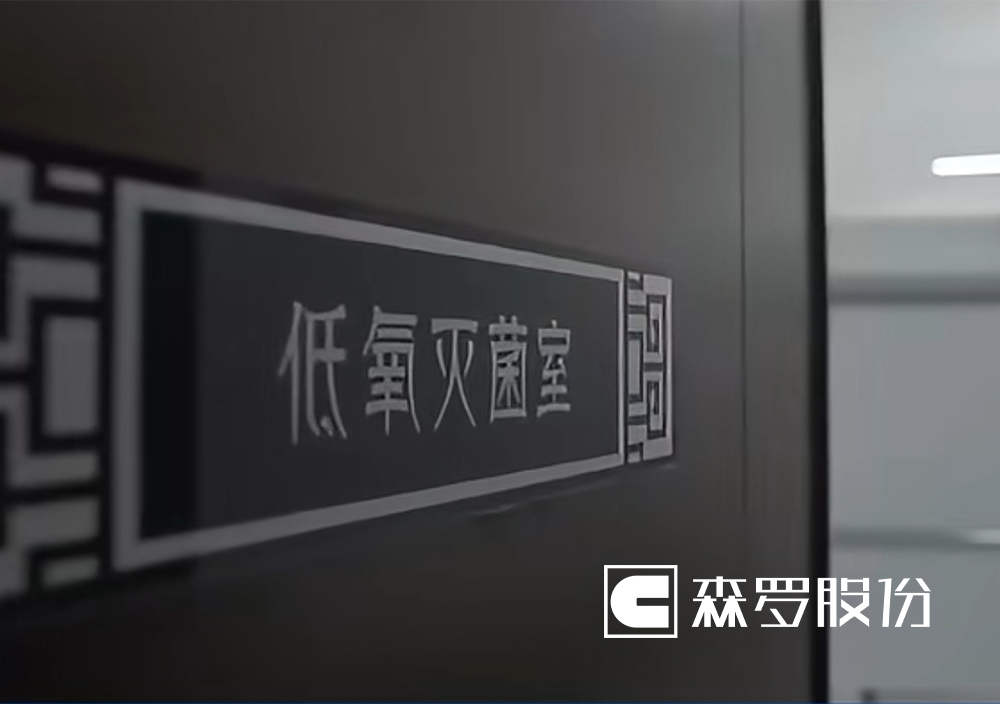 淮南市博物馆（武王墩墓）
